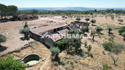 Quinta T3 para Venda em Castelo Branco