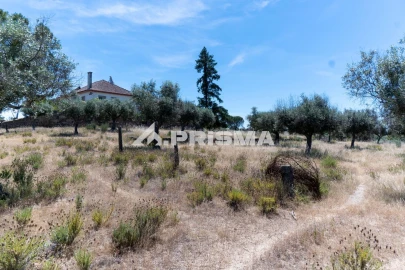 Quinta T3 para Venda em Castelo Branco