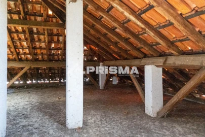 Quinta T3 para Venda em Castelo Branco