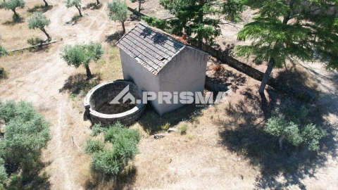 Quinta T3 para Venda em Castelo Branco