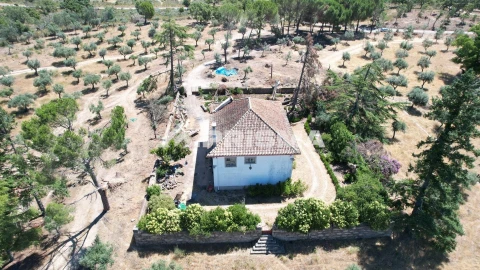 Quinta T3 para Venda em Castelo Branco