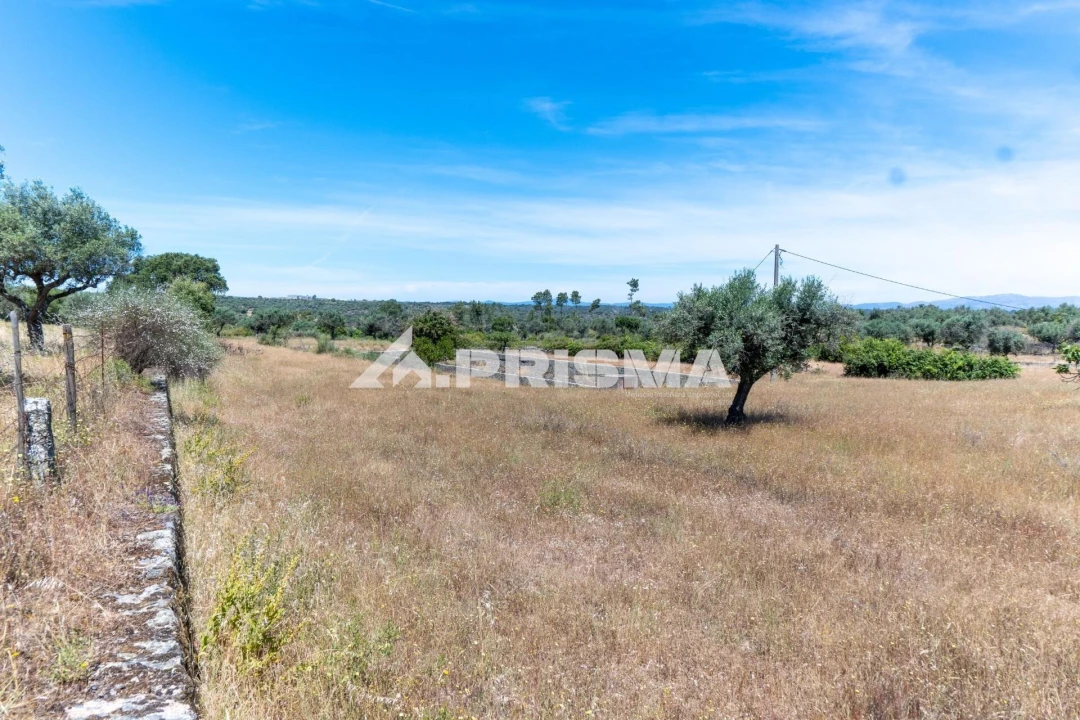 Quinta T3 para Venda em Castelo Branco Foto 4