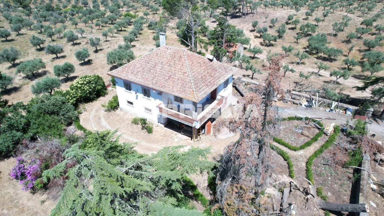Quinta T3 para Venda em Castelo Branco Foto 21