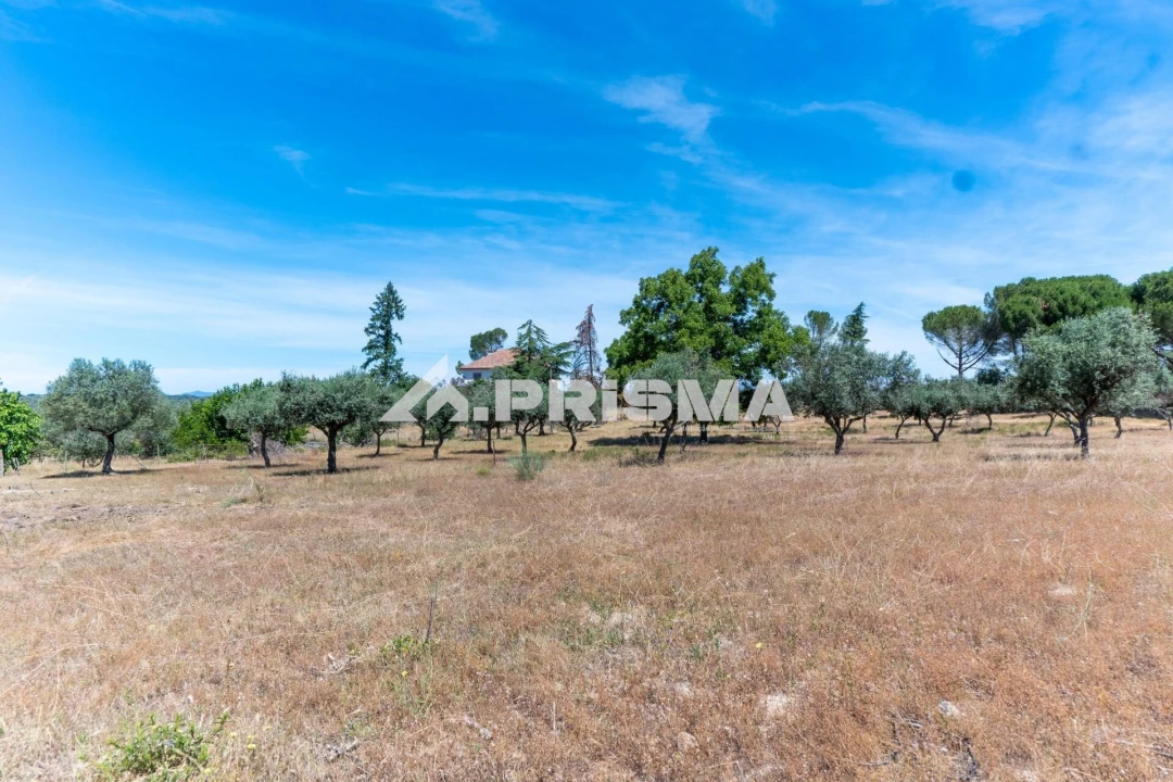 Quinta T3 para Venda em Castelo Branco Foto 2