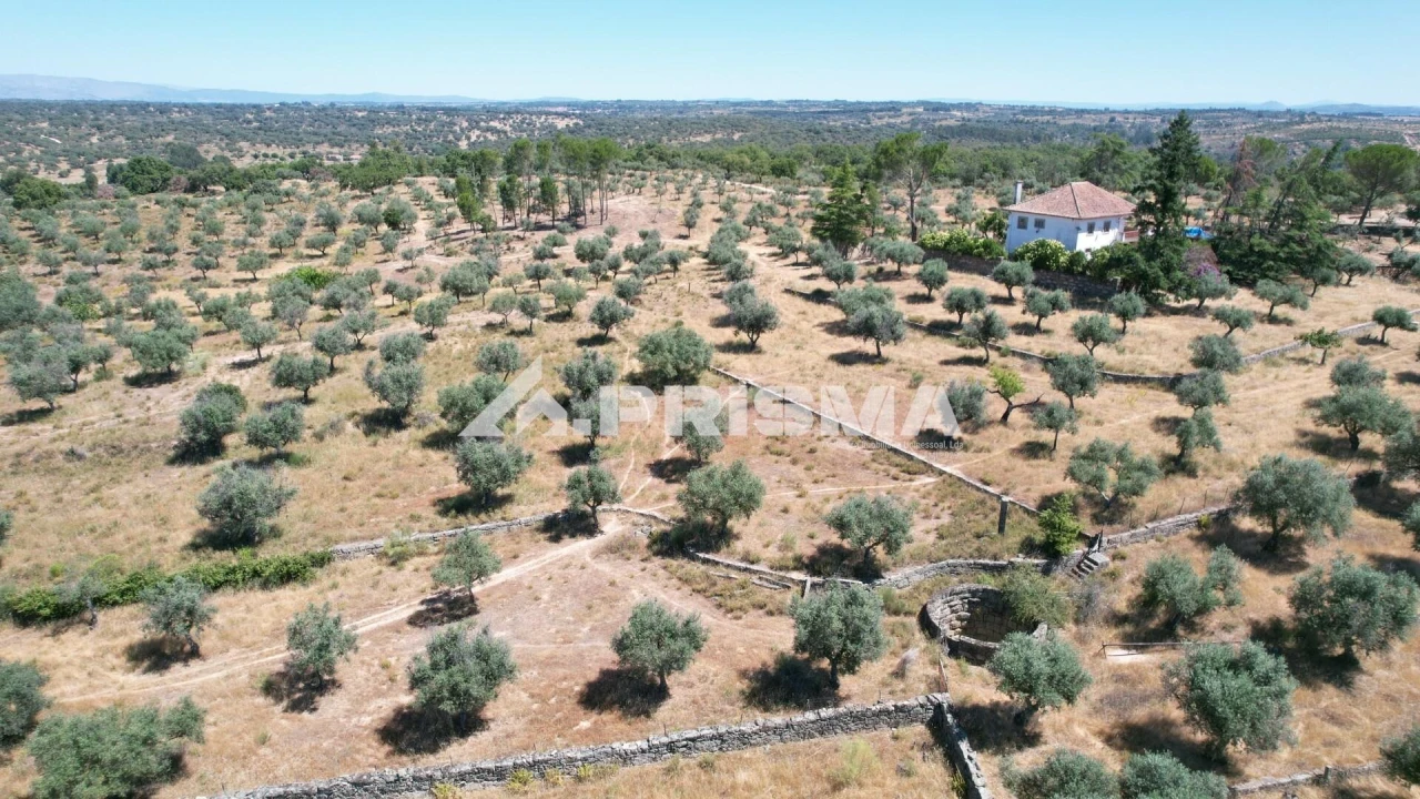Quinta T3 para Venda em Castelo Branco Foto 45