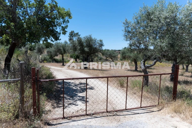 Quinta T3 para Venda em Castelo Branco Foto 60