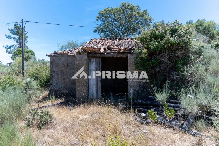 Quinta T3 para Venda em Castelo Branco Foto 56