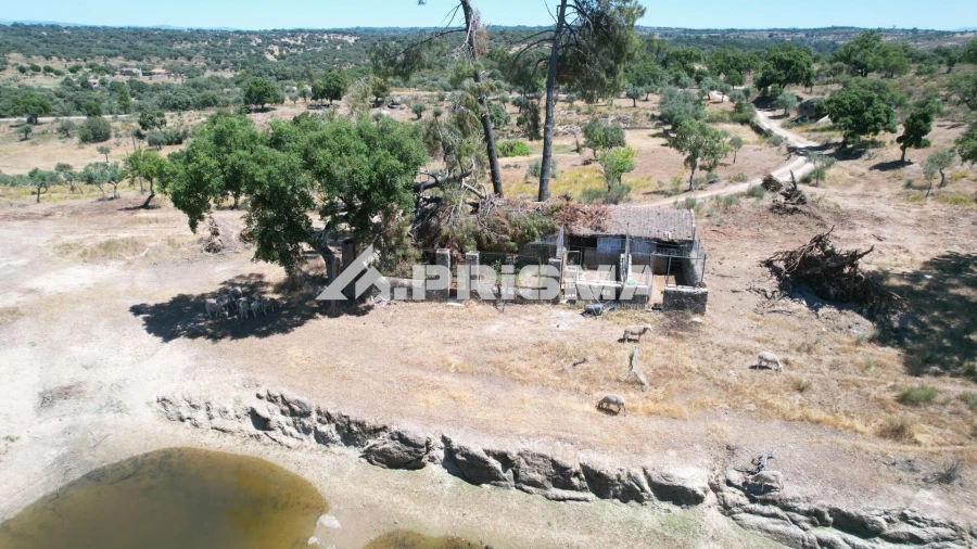 Quinta T3 para Venda em Castelo Branco Foto 52