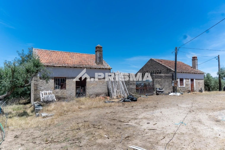 Quinta T3 para Venda em Castelo Branco Foto 57