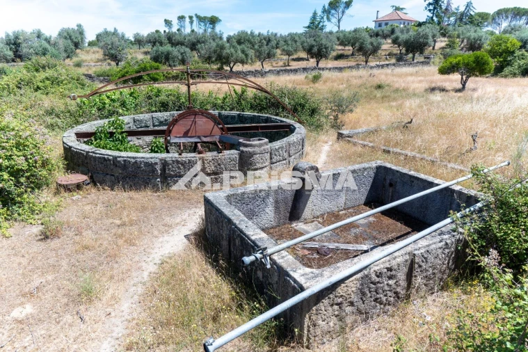 Quinta T3 para Venda em Castelo Branco Foto 13