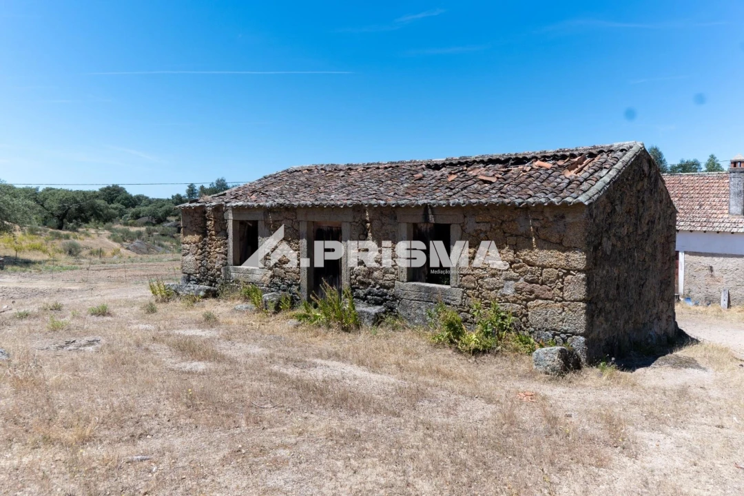 Quinta T3 para Venda em Castelo Branco Foto 55