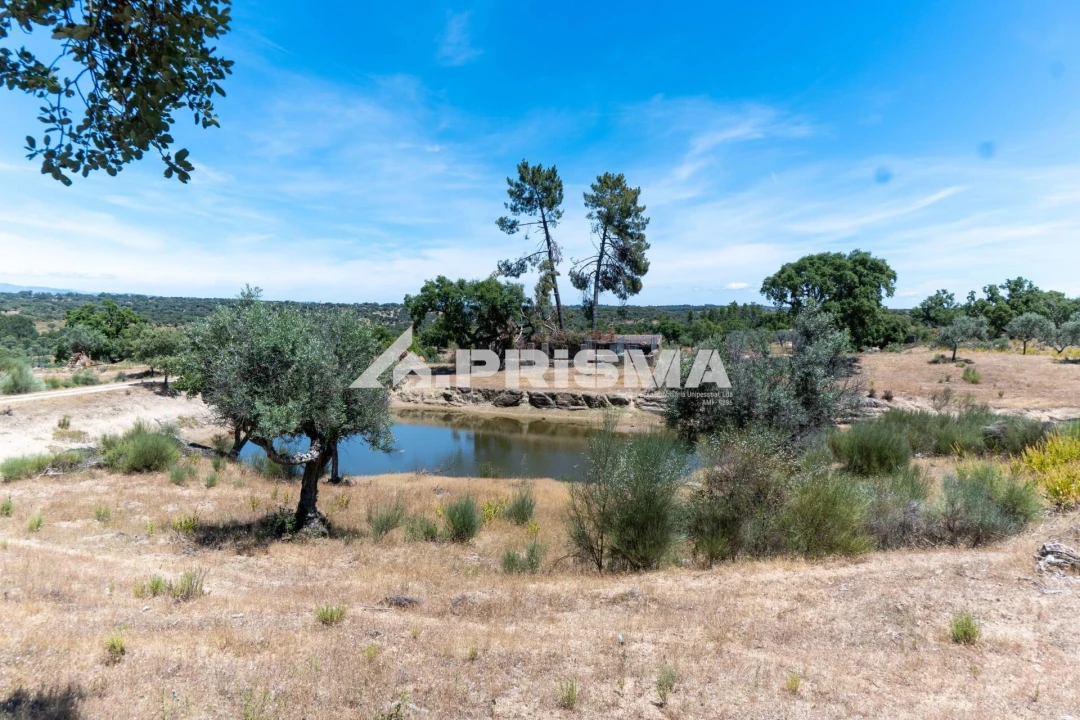 Quinta T3 para Venda em Castelo Branco Foto 53