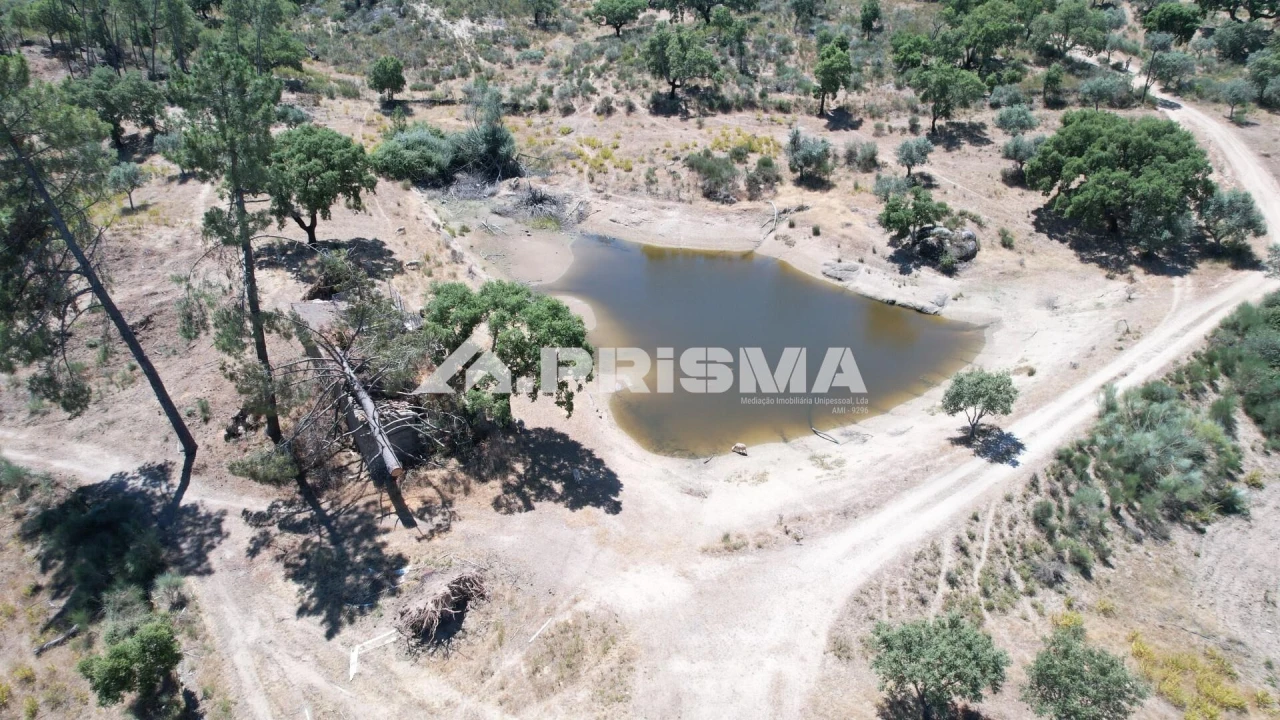 Quinta T3 para Venda em Castelo Branco Foto 50