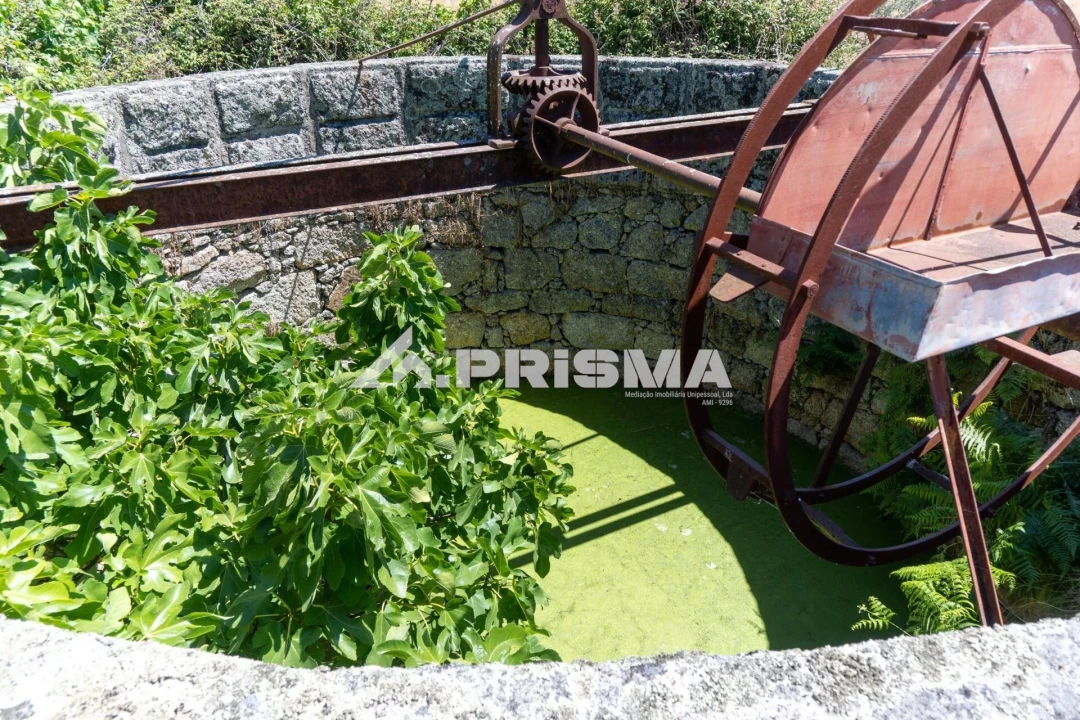 Quinta T3 para Venda em Castelo Branco Foto 14