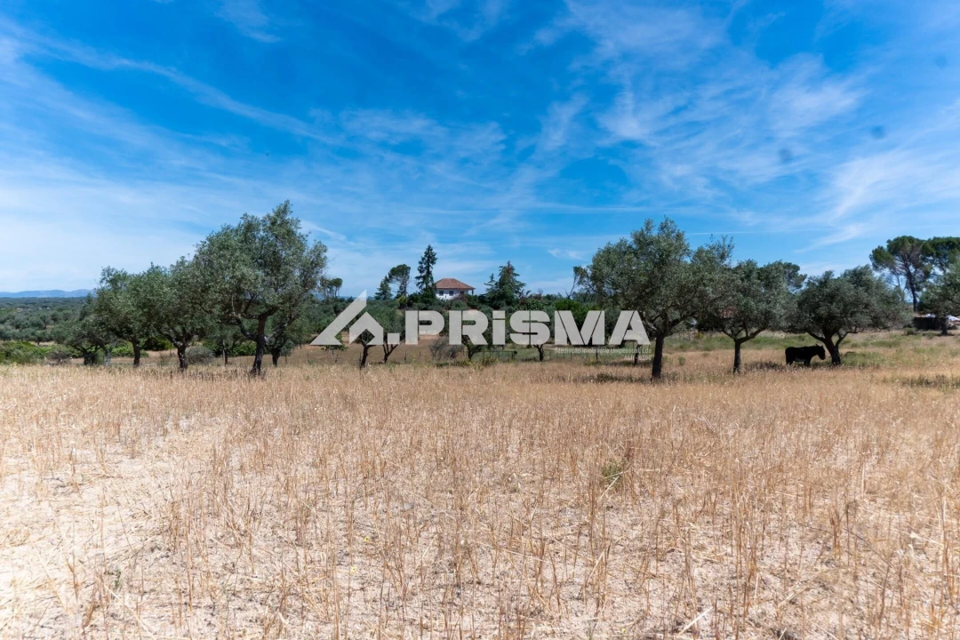 Quinta T3 para Venda em Castelo Branco Foto 1