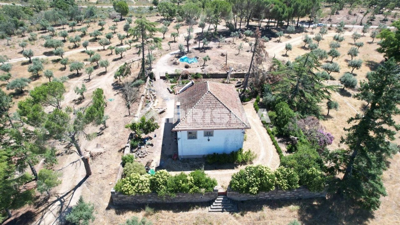 Quinta T3 para Venda em Castelo Branco Foto 19