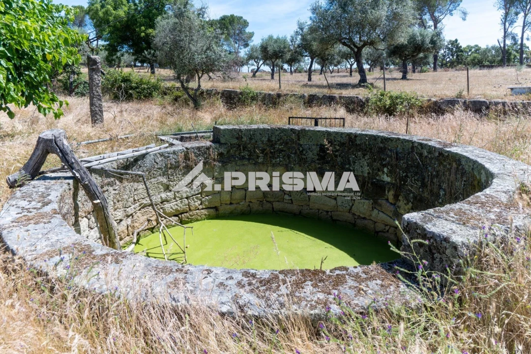 Quinta T3 para Venda em Castelo Branco Foto 9