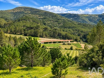 Terreno para Venda em Vilar