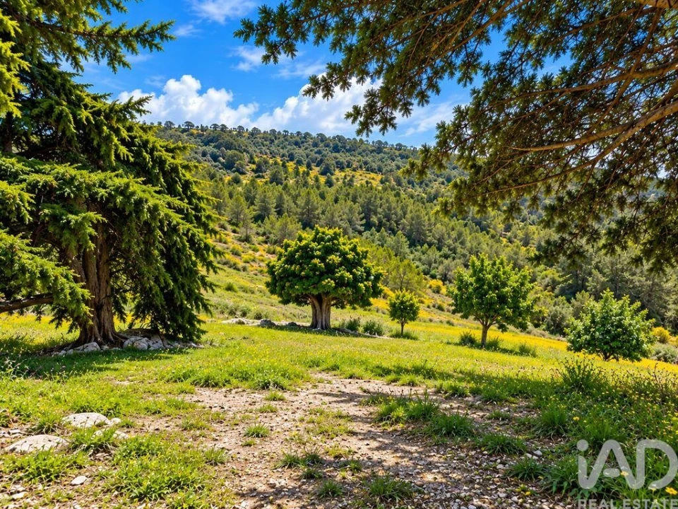 Terreno para Venda em Vilar Foto 4
