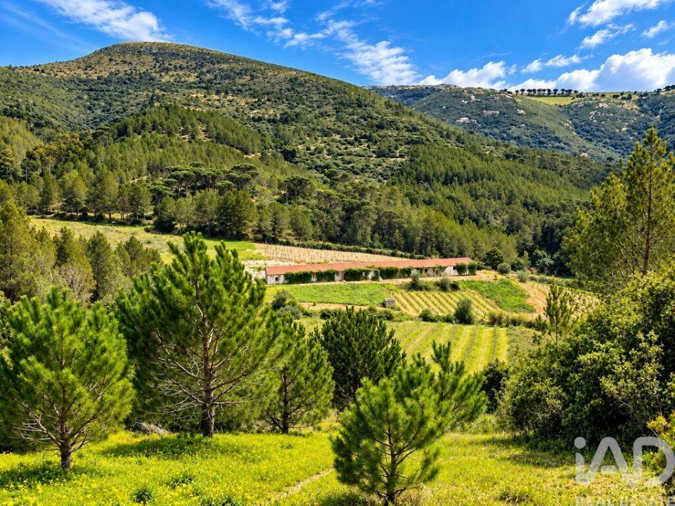 Terreno para Venda em Vilar Foto 1