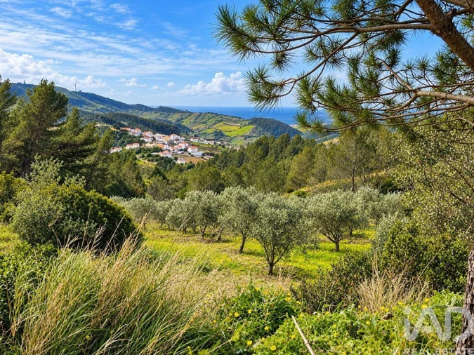 Terreno para Venda em Vilar Foto 5