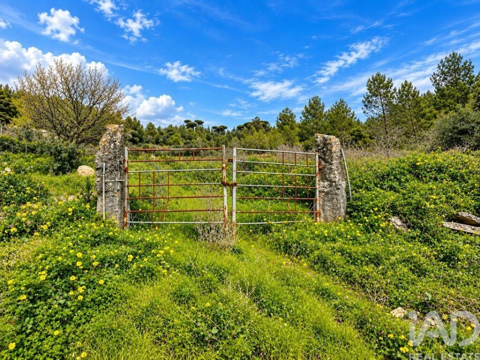 Terreno para Venda em Vilar Foto 7