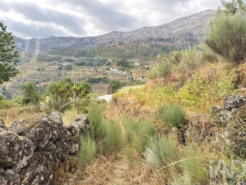 Terreno para Venda em Alvoco da Serra