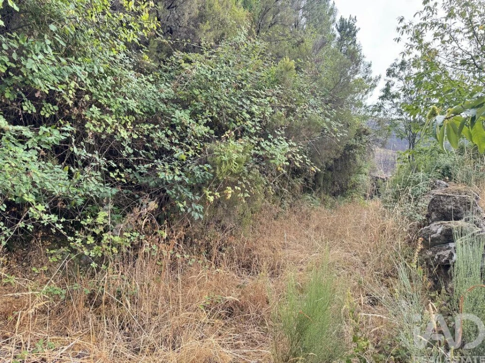Terreno para Venda em Alvoco da Serra Foto 2