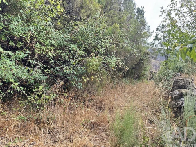 Terreno para Venda em Alvoco da Serra Foto 2