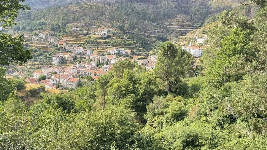 Terreno para Venda em Alvoco da Serra