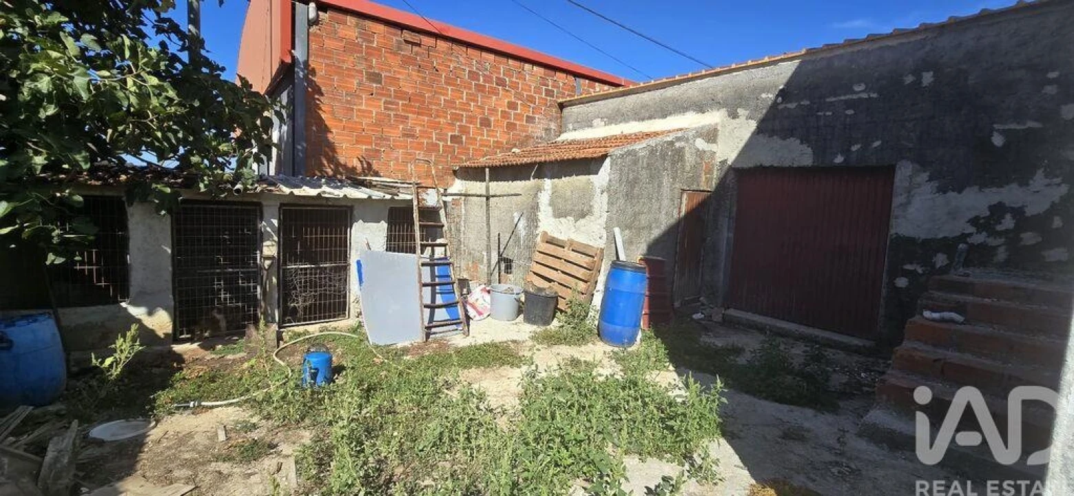Armazém para Venda em Lamas e Cercal Foto 20