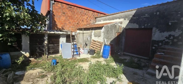 Armazém para Venda em Lamas e Cercal
