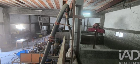 Armazém para Venda em Lamas e Cercal