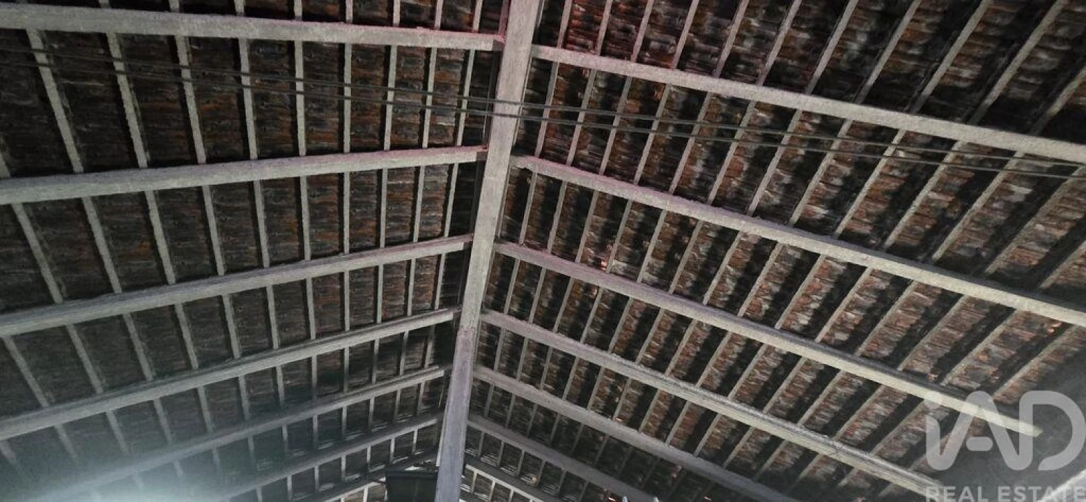 Armazém para Venda em Lamas e Cercal Foto 13