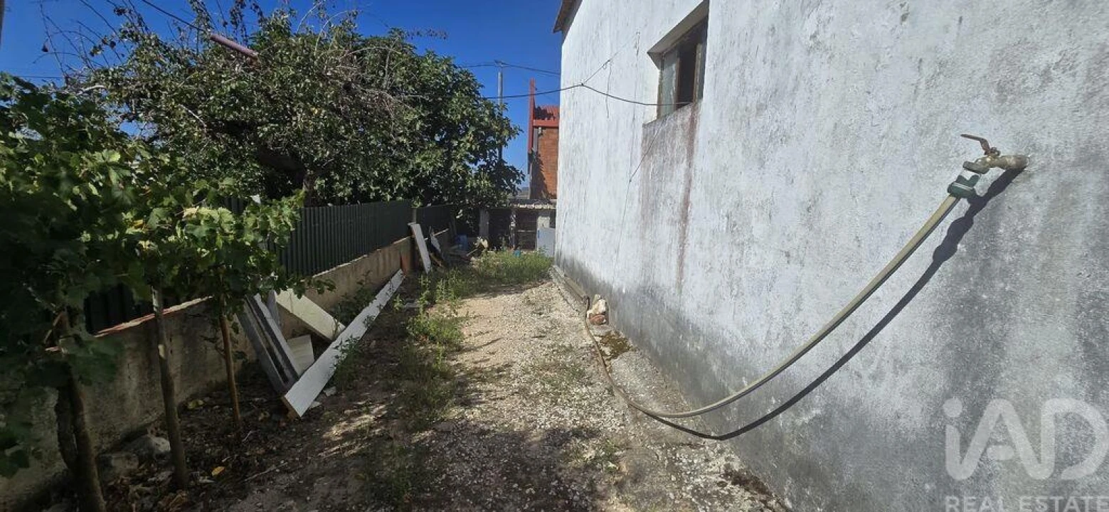 Armazém para Venda em Lamas e Cercal Foto 16