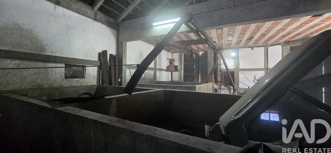 Armazém para Venda em Lamas e Cercal Foto 12
