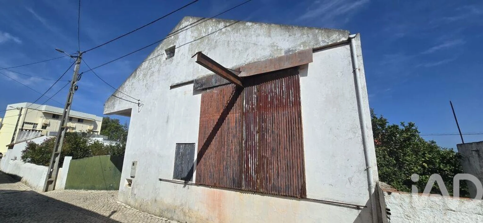 Armazém para Venda em Lamas e Cercal Foto 3