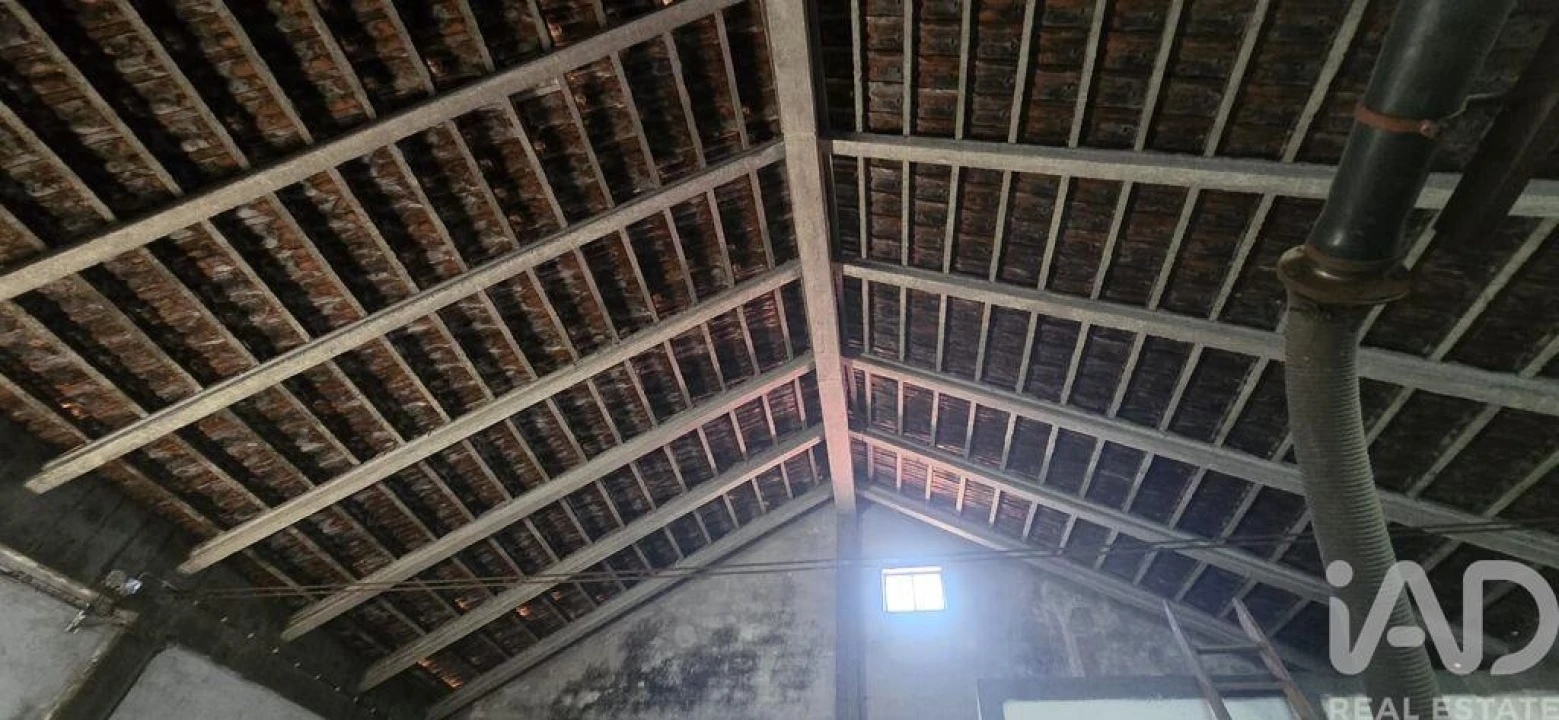 Armazém para Venda em Lamas e Cercal Foto 14