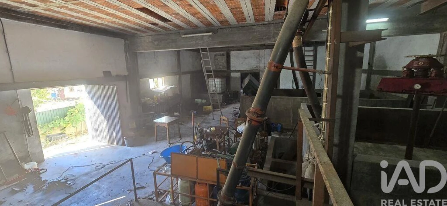 Armazém para Venda em Lamas e Cercal Foto 7