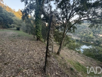 Quinta para Venda em Constance