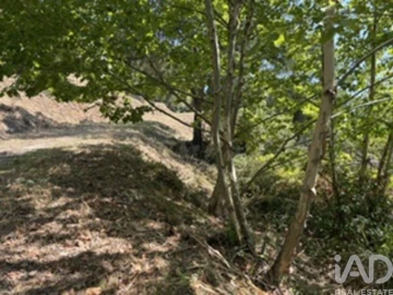 Quinta para Venda em Constance