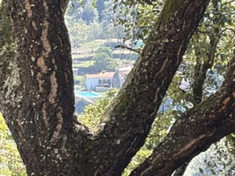 Quinta para Venda em Constance Foto 22