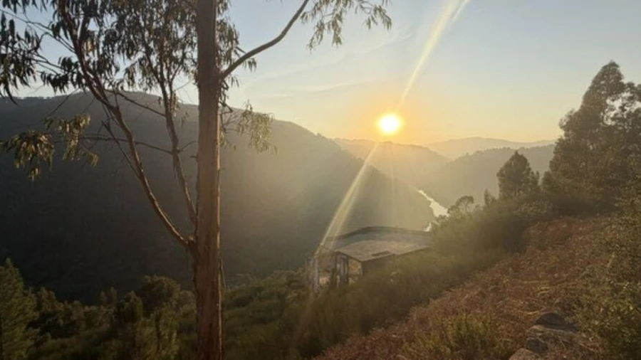 Quinta para Venda em Constance