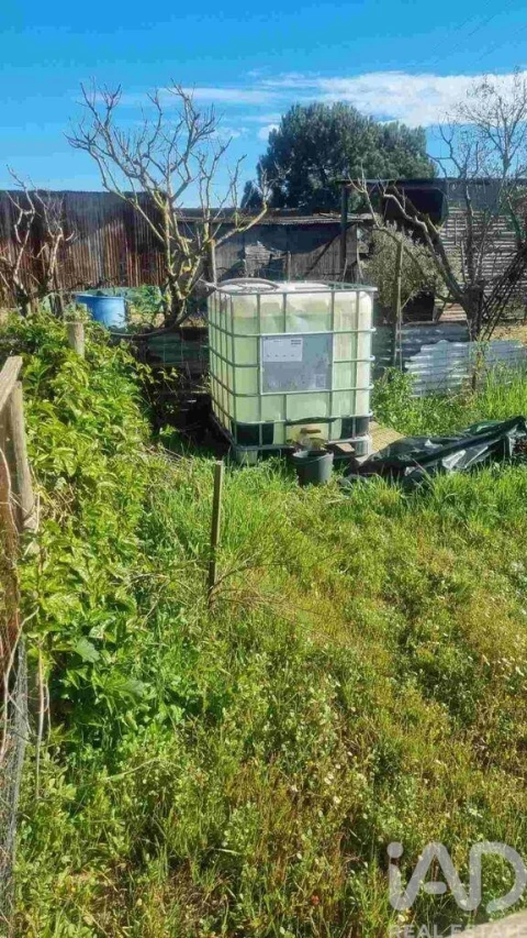 Terreno para Venda em Benfica do Ribatejo