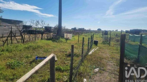 Terreno para Venda em Benfica do Ribatejo