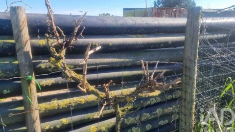 Terreno para Venda em Benfica do Ribatejo