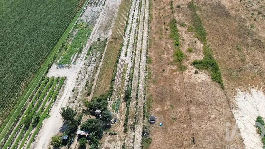 Terreno para Venda em Benfica do Ribatejo Foto 5