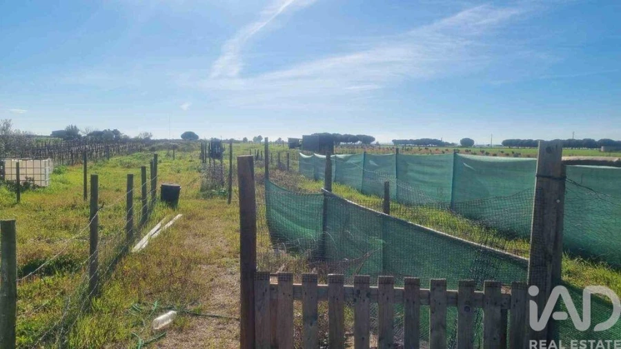 Terreno para Venda em Benfica do Ribatejo Foto 35