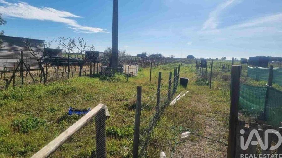 Terreno para Venda em Benfica do Ribatejo Foto 38
