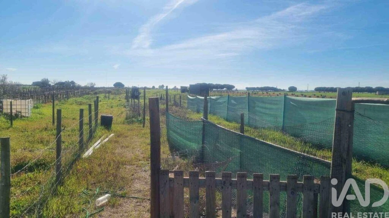 Terreno para Venda em Benfica do Ribatejo Foto 35